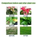Sunwinx Premium Fertilizer for Soil and Potting Soil - Promotes Plant Health and Growth in Gardens and Containers