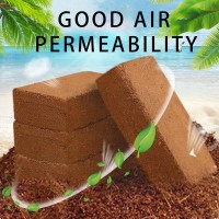 Sunwinx Eco-Friendly Brick Compressed Planting Soil - Expands with Water for Gardening and Plant Cultivation
