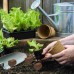 Sunwinx Natural Compressed Block Seeding Planting Soil - Perfect for Seed Starting and Hydroponic Growing