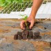 Sunwinx Natural Compressed Block Seeding Planting Soil - Perfect for Seed Starting and Hydroponic Growing